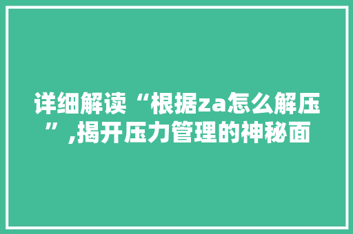 详细解读“根据za怎么解压”,揭开压力管理的神秘面纱 编程语言