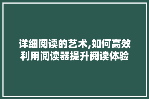 详细阅读的艺术,如何高效利用阅读器提升阅读体验 操作系统