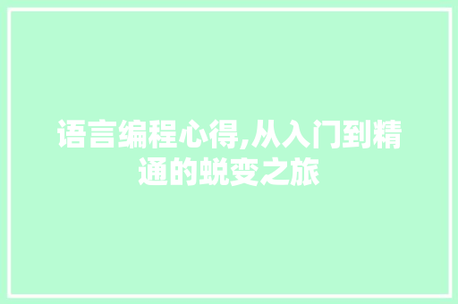 语言编程心得,从入门到精通的蜕变之旅