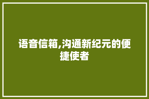 语音信箱,沟通新纪元的便捷使者