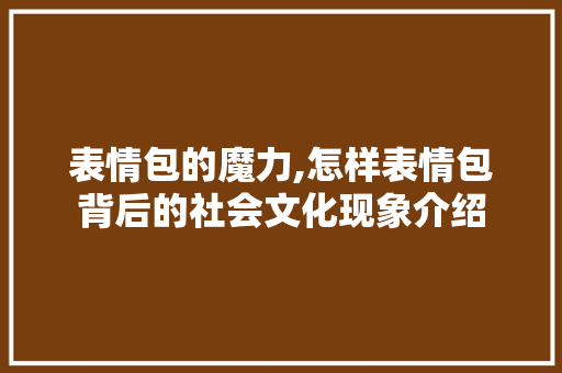 表情包的魔力,怎样表情包背后的社会文化现象介绍