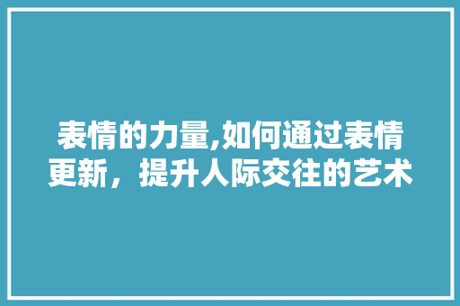 表情的力量,如何通过表情更新，提升人际交往的艺术