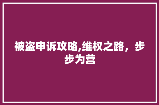 被盗申诉攻略,维权之路，步步为营
