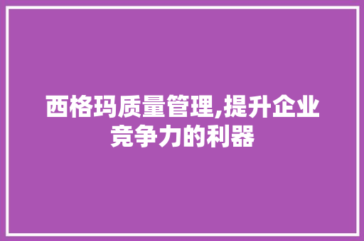 西格玛质量管理,提升企业竞争力的利器 网络技术