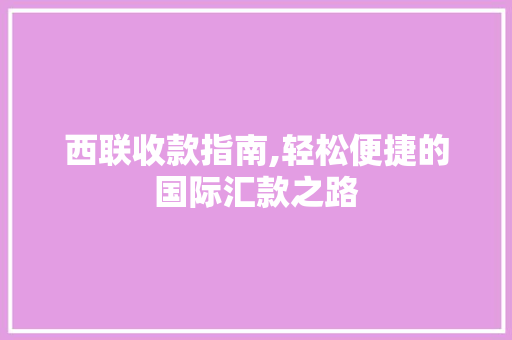 西联收款指南,轻松便捷的国际汇款之路 电脑基础
