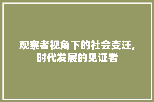 观察者视角下的社会变迁,时代发展的见证者 电脑基础