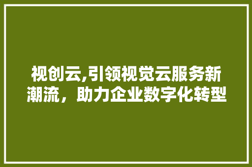 视创云,引领视觉云服务新潮流，助力企业数字化转型 电脑故障维修