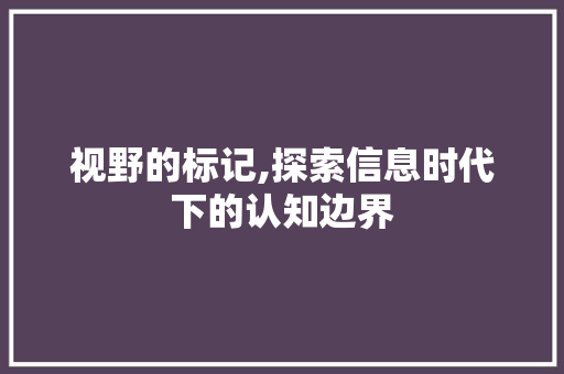 视野的标记,探索信息时代下的认知边界 电脑基础