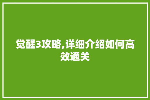 觉醒3攻略,详细介绍如何高效通关 网络技术