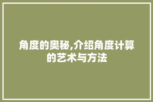 角度的奥秘,介绍角度计算的艺术与方法 电脑基础