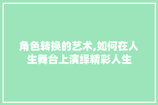 角色转换的艺术,如何在人生舞台上演绎精彩人生 操作系统