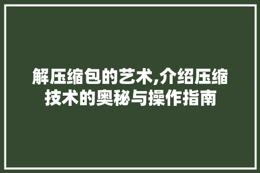 解压缩包的艺术,介绍压缩技术的奥秘与操作指南 操作系统