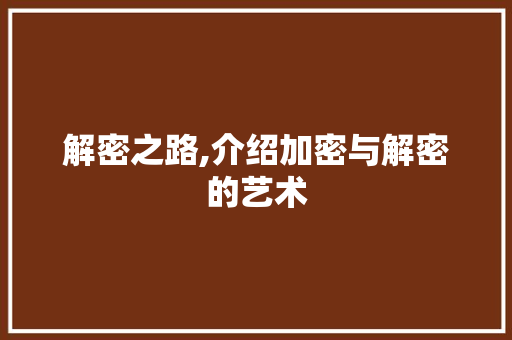 解密之路,介绍加密与解密的艺术