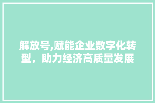 解放号,赋能企业数字化转型，助力经济高质量发展 电脑基础