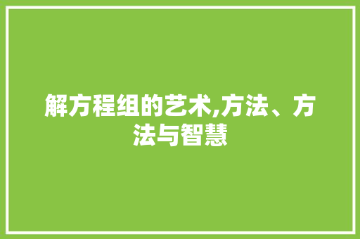 解方程组的艺术,方法、方法与智慧 电脑基础