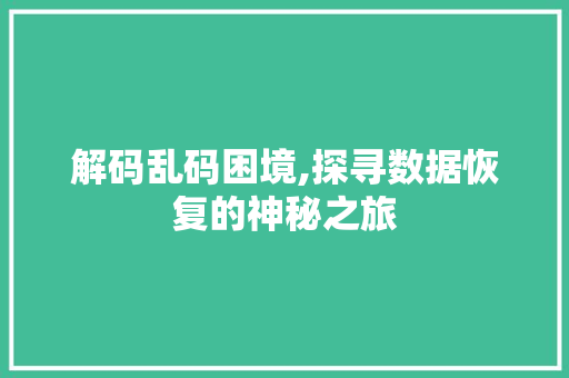 解码乱码困境,探寻数据恢复的神秘之旅 操作系统