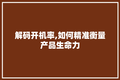 解码开机率,如何精准衡量产品生命力 网络技术