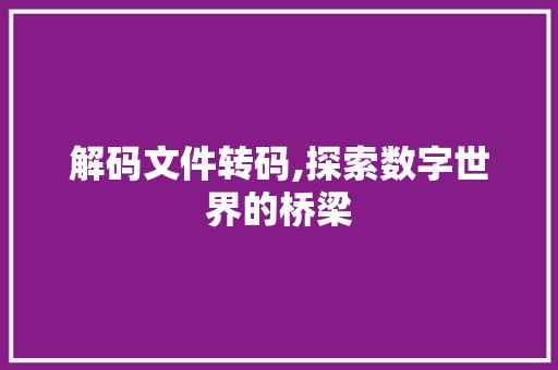 解码文件转码,探索数字世界的桥梁