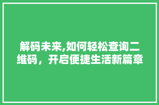 解码未来,如何轻松查询二维码，开启便捷生活新篇章