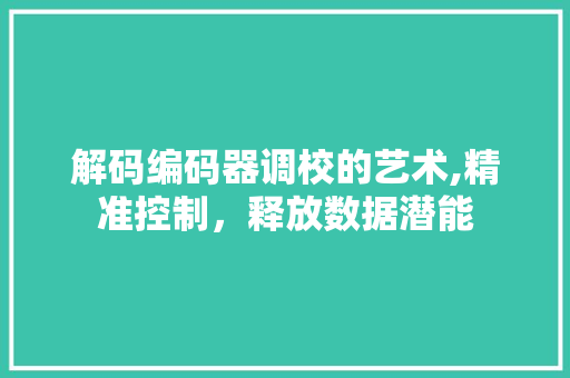 解码编码器调校的艺术,精准控制，释放数据潜能