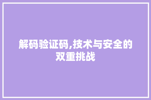 解码验证码,技术与安全的双重挑战