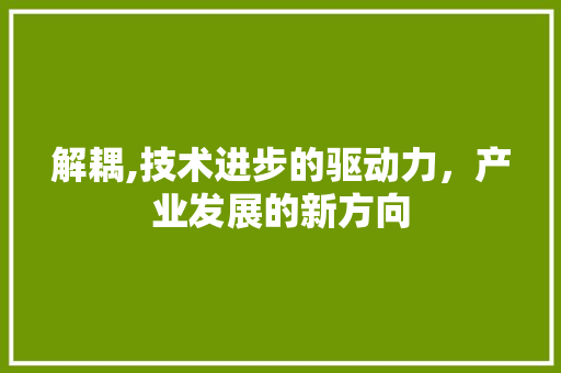 解耦,技术进步的驱动力，产业发展的新方向