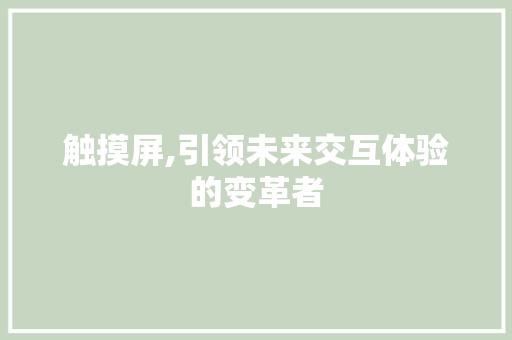 触摸屏,引领未来交互体验的变革者 网络技术