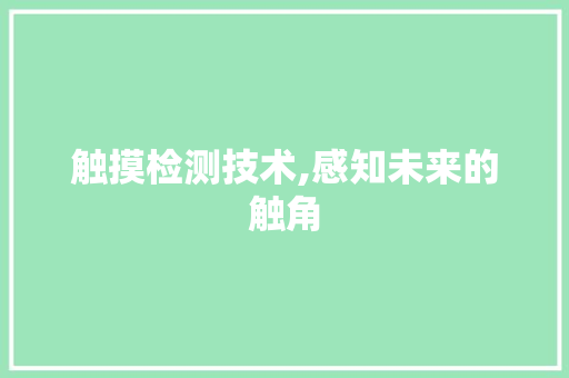触摸检测技术,感知未来的触角