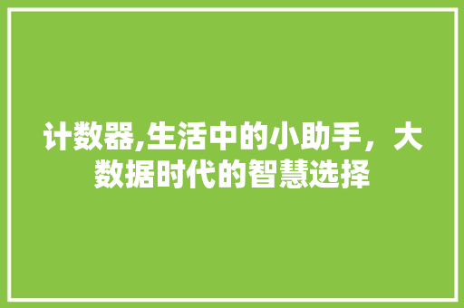 计数器,生活中的小助手，大数据时代的智慧选择
