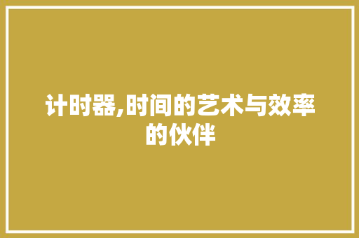 计时器,时间的艺术与效率的伙伴 计时器,时间的艺术与效率的伙伴
