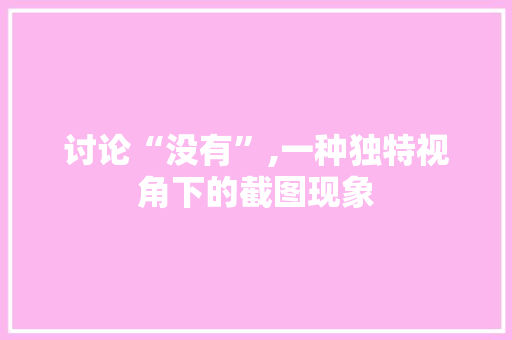 讨论“没有”,一种独特视角下的截图现象
