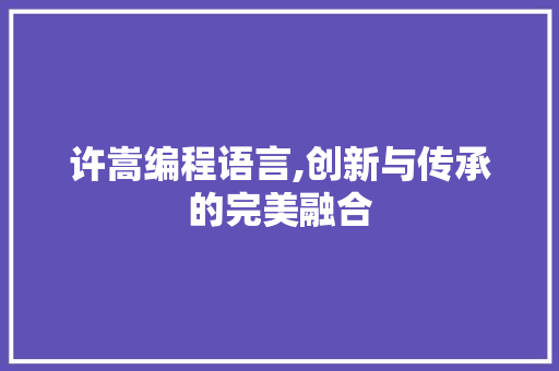许嵩编程语言,创新与传承的完美融合