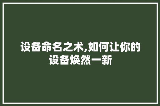 设备命名之术,如何让你的设备焕然一新