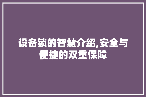 设备锁的智慧介绍,安全与便捷的双重保障