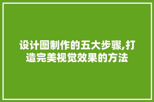设计图制作的五大步骤,打造完美视觉效果的方法 操作系统