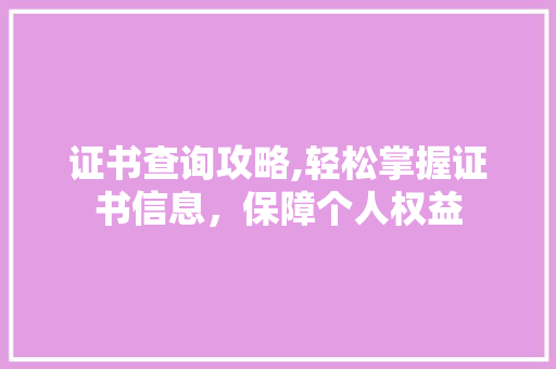 证书查询攻略,轻松掌握证书信息,保障个人权益 电脑基础 证书查询攻略,轻松掌握证书信息,保障个人权益 电脑基础