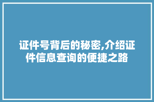 证件号背后的秘密,介绍证件信息查询的便捷之路 电脑故障维修