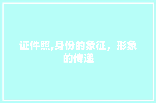 证件照,身份的象征，形象的传递 操作系统