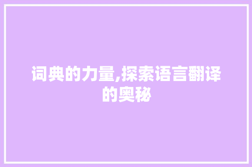 词典的力量,探索语言翻译的奥秘 操作系统