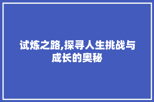 试炼之路,探寻人生挑战与成长的奥秘 电脑故障维修