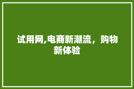 试用网,电商新潮流，购物新体验 电脑故障维修