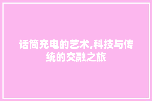 话筒充电的艺术,科技与传统的交融之旅 话筒充电的艺术,科技与传统的交融之旅