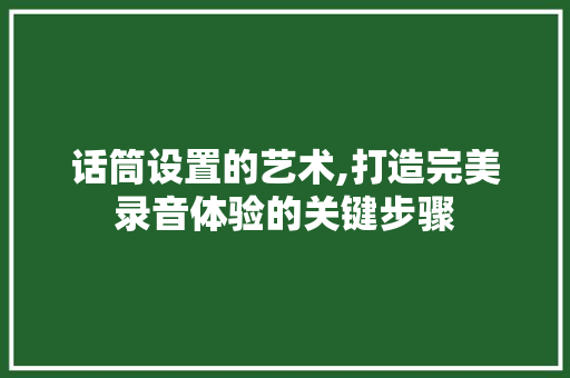 话筒设置的艺术,打造完美录音体验的关键步骤