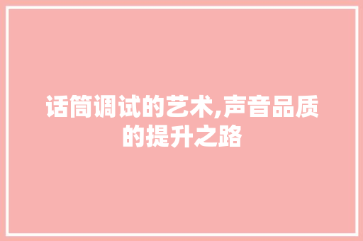 话筒调试的艺术,声音品质的提升之路 电脑基础