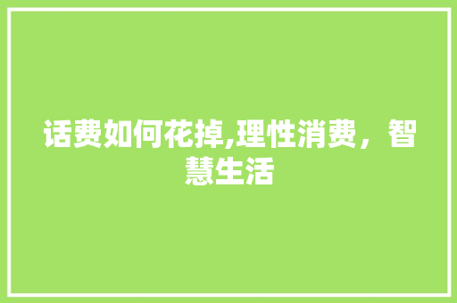话费如何花掉,理性消费，智慧生活