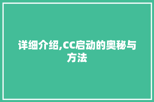 详细介绍,CC启动的奥秘与方法 电脑配置