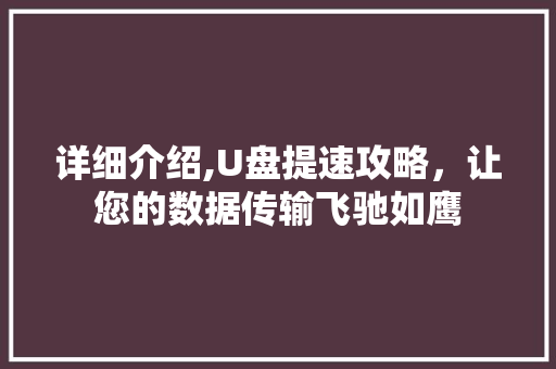 详细介绍,U盘提速攻略,让您的数据传输飞驰如鹰 网络技术 详细介绍,U盘提速攻略,让您的数据传输飞驰如鹰 网络技术