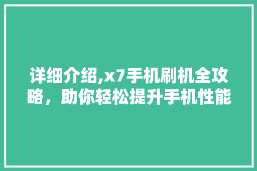 详细介绍,x7手机刷机全攻略，助你轻松提升手机性能！ 电脑基础