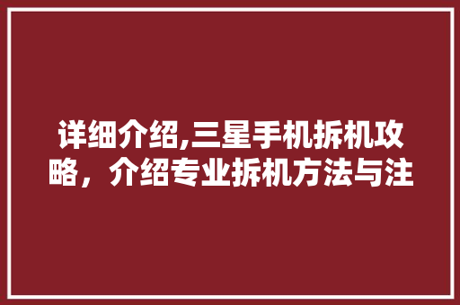 详细介绍,三星手机拆机攻略，介绍专业拆机方法与注意事项 电脑基础