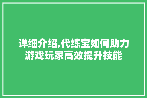 详细介绍,代练宝如何助力游戏玩家高效提升技能 操作系统